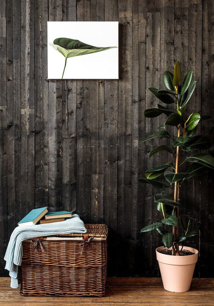 Herstellerfoto: Leinwand an der Wand