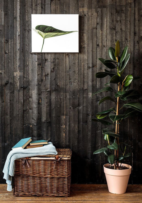 Herstellerfoto: Leinwand an der Wand