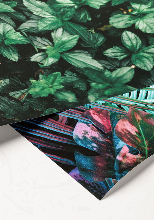 Herstellerfoto: Papier und Druck im Detail